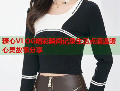 糖心VLOG精彩瞬间记录生活点滴温暖心灵故事分享  第1张