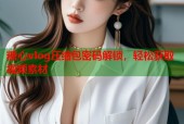 糖心vlog压缩包密码解锁，轻松获取视频素材