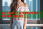 糖心vlog租号，轻松体验多号管理，随时切换，自由创作