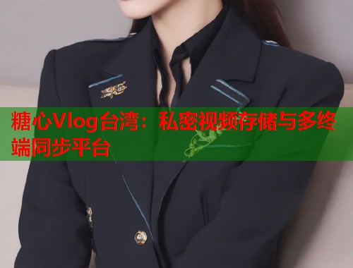 糖心Vlog台湾：私密视频存储与多终端同步平台  第2张