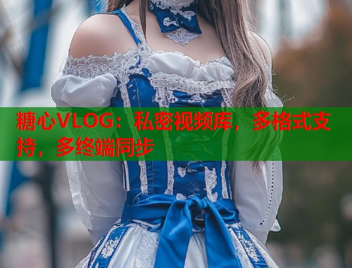 糖心VLOG：私密视频库，多格式支持，多终端同步  第1张